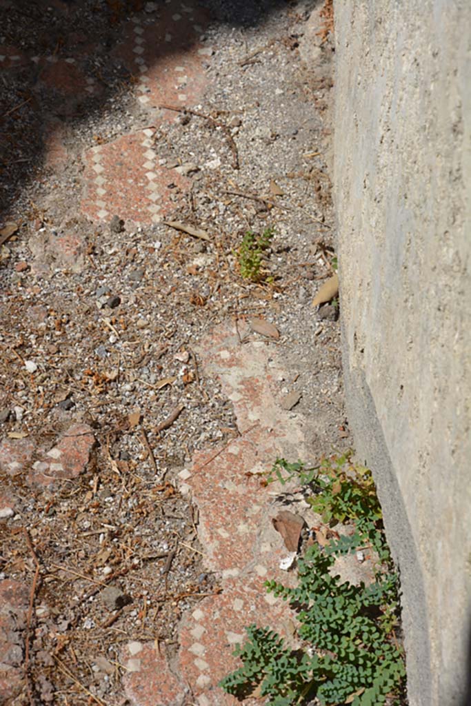 VIII.2.39 Pompeii. September 2019. Room l (L), detail of flooring near east wall.
Foto Annette Haug, ERC Grant 681269 DÉCOR