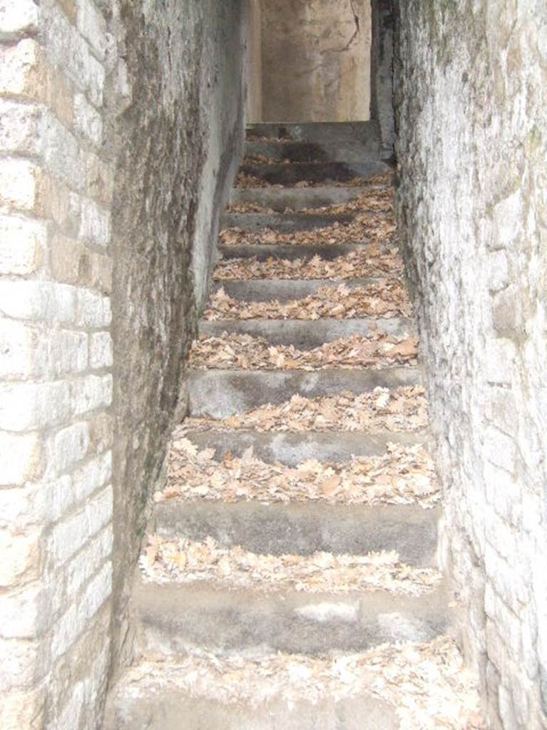 VIII.2.39 Pompeii. May 2006. Steps up from first lower floor.  .