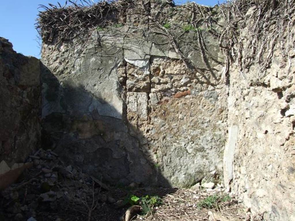 VIII.3.4 Pompeii. March 2009. Room 12, looking towards west wall and north-west corner.