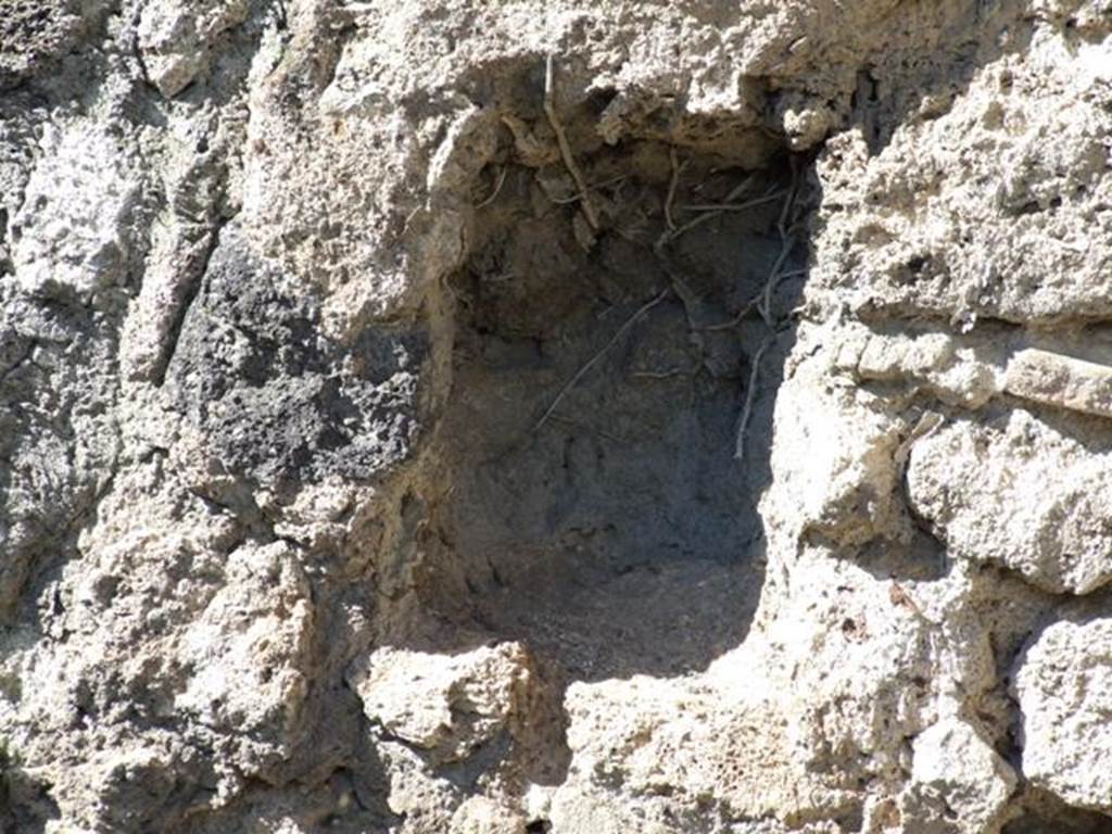 VIII.3.4 Pompeii. March 2009. Room 18, niche in west wall of rear garden area.