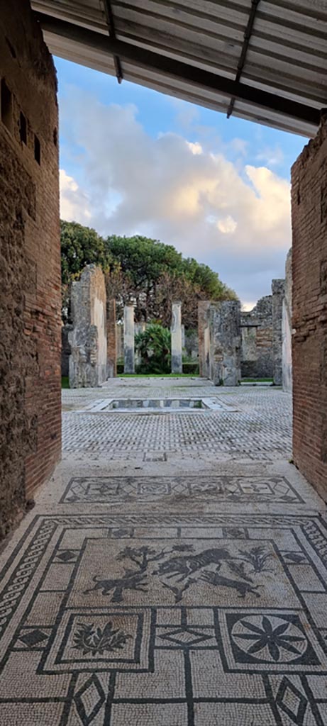 VIII.3.8 Pompeii. December 2023.
Looking south along entrance corridor towards atrium. 
Photo courtesy of Miriam Colomer.