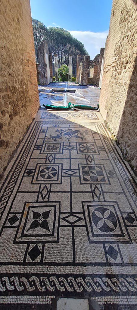 VIII.3.8 Pompeii. April 2022. 
Looking south along mosaic in entrance corridor towards atrium. 
Photo courtesy of Giuseppe Ciaramella.