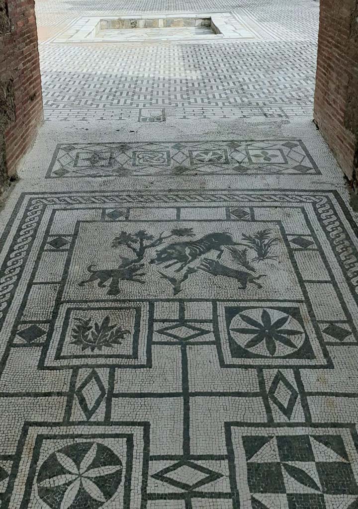 VIII.3.8 Pompeii. May 2021. 
Looking south from entrance doorway along mosaic in corridor/fauces towards atrium. 
Photo courtesy of Davide Peluso.