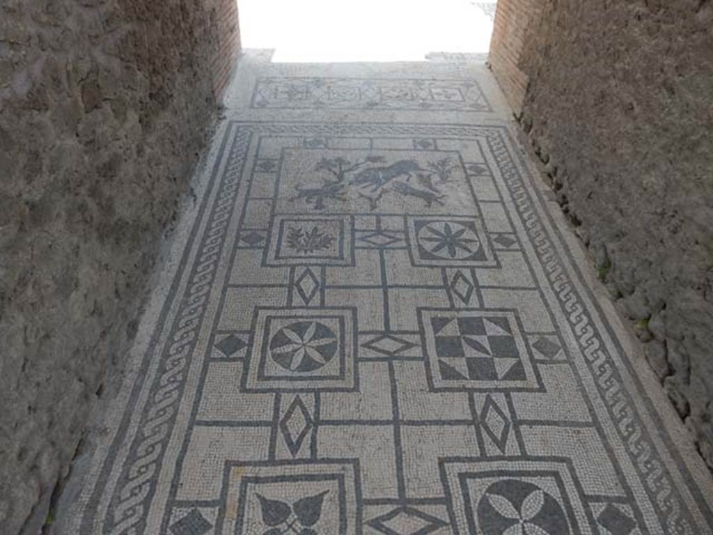 VIII.3.8 Pompeii. May 2016. Looking south from entrance doorway along mosaic in corridor/fauces. Photo courtesy of Buzz Ferebee.