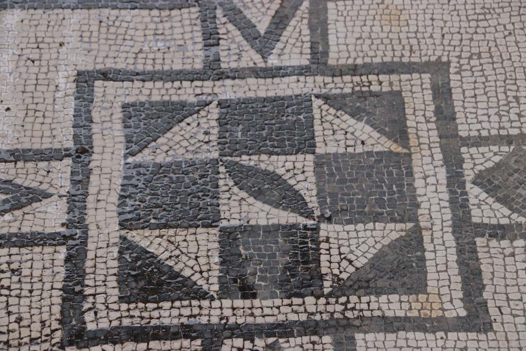 VIII.3.8 Pompeii. October 2020. Detail of mosaic in corridor/fauces. Photo courtesy of Klaus Heese.
