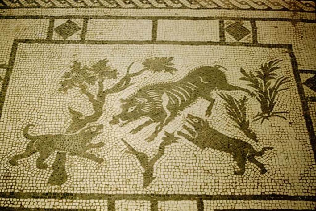 VIII.3.8 Pompeii. 1957. Wild boar mosaic in entrance corridor. Photo by Stanley A. Jashemski.
Source: The Wilhelmina and Stanley A. Jashemski archive in the University of Maryland Library, Special Collections (See collection page) and made available under the Creative Commons Attribution-Non Commercial License v.4. See Licence and use details.
J57f0358