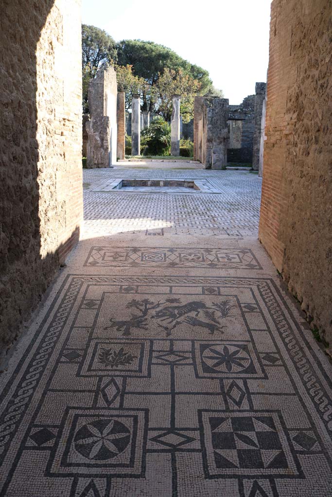 VIII.3.8, Pompeii., December 2018. 
Looking south along mosaic in entrance corridor towards atrium, through tablinum to peristyle.
Photo courtesy of Aude Durand.