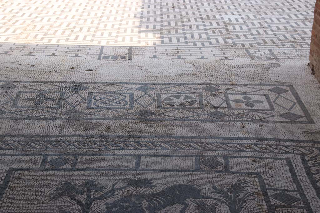 VIII.3.8 Pompeii. September 2021. 
Looking south along mosaic in entrance corridor towards atrium flooring. Photo courtesy of Klaus Heese.