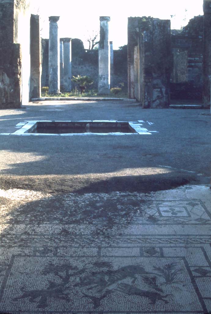 VIII.3.8 Pompeii. 4th December 1971. 
Looking south from end of mosaic in fauces, across atrium to peristyle.
Photo courtesy of Rick Bauer, from Dr.George Fay’s slides collection.