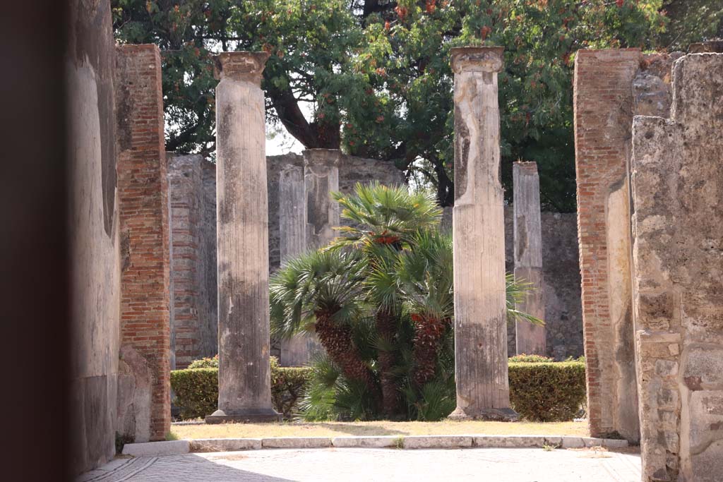 VIII.3.8 Pompeii. September 2019. Looking south through tablinum into the peristyle.  
Photo courtesy of Klaus Heese.