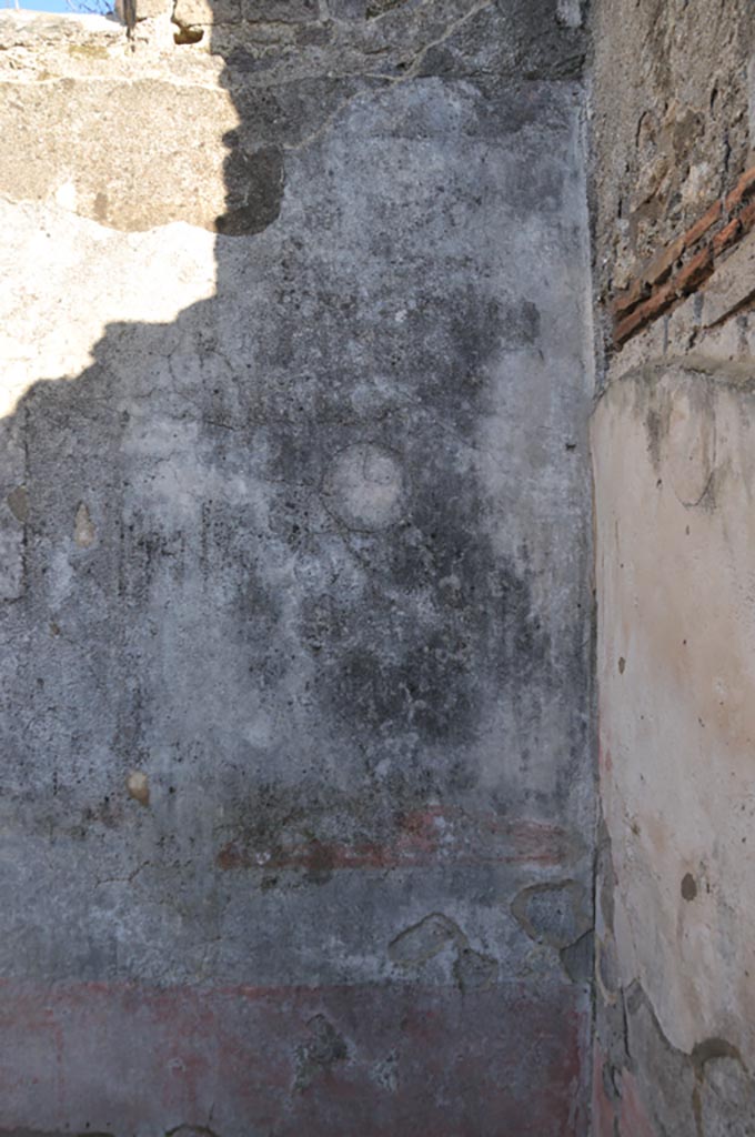 VIII.3.12 Pompeii. January 2024. 
Detail of medallion on east wall of triclinium in south-east corner. Photo courtesy of Domenico Esposito.