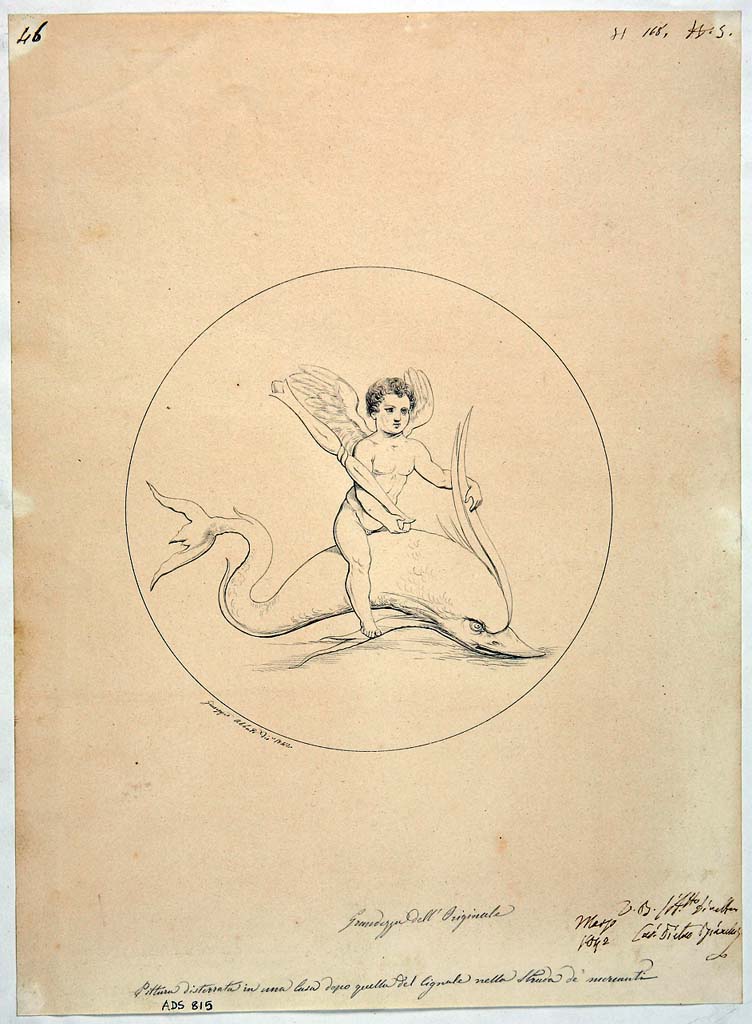 VIII.3.4. Drawing by Giuseppe Abbate, 1842, of painting of a cupid riding a dolphin, from an unknown room.
The wording below the drawing reads “Painting found in a house after that of the Cignale in the Strada de’ Mercanti”.
Now in Naples Archaeological Museum. Inventory number ADS 815.
Photo © ICCD. http://www.catalogo.beniculturali.it
Utilizzabili alle condizioni della licenza Attribuzione - Non commerciale - Condividi allo stesso modo 2.5 Italia (CC BY-NC-SA 2.5 IT)