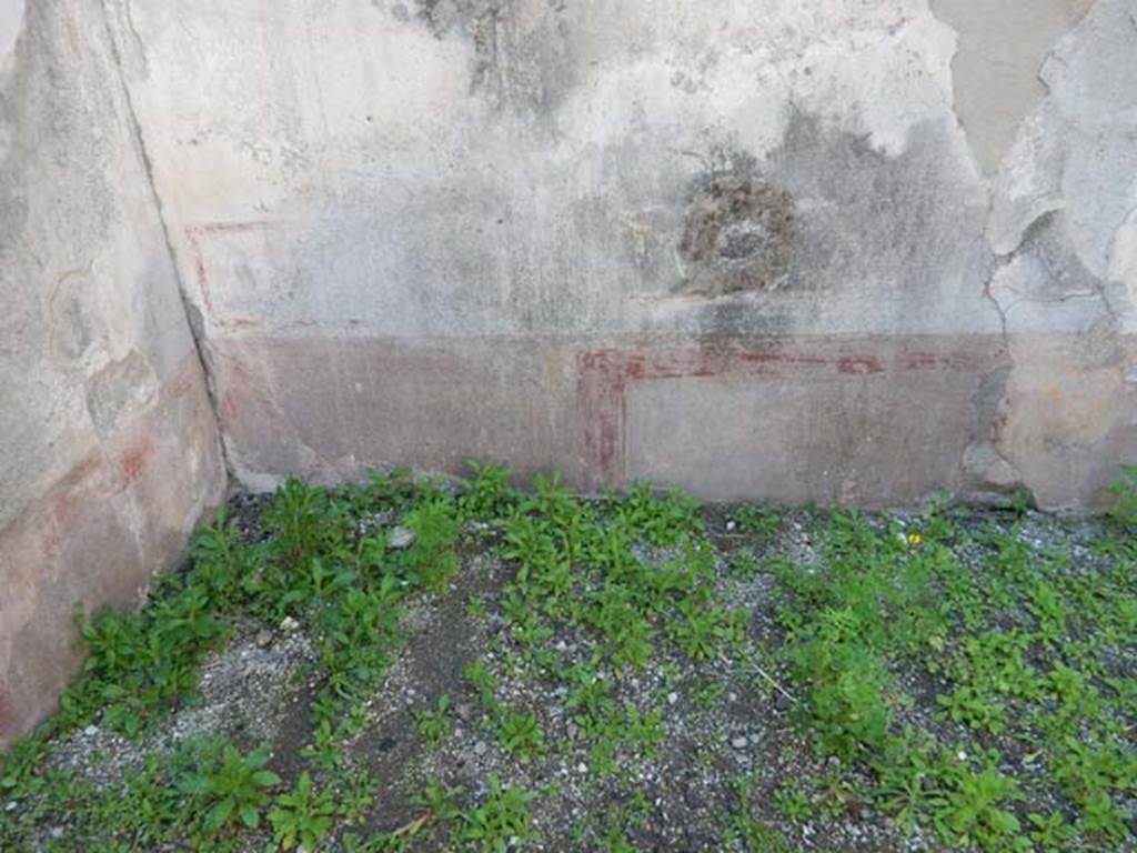 VIII.3.14 Pompeii. May 2016. Zoccolo on lower part of south wall with remains of painted decoration. Photo courtesy of Buzz Ferebee.