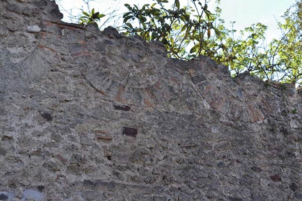 VIII.3.14 Pompeii. April 2018. Detail of west wall in Vicolo dei 12 Dei. Photo courtesy of Ian Lycett-King. 
Use is subject to Creative Commons Attribution-NonCommercial License v.4 International.
