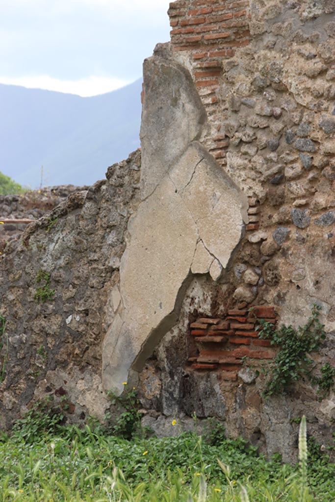 VIII.3.21 Pompeii. May 2024. 
Looking towards remaining plaster on south wall of room (4), photo taken over wall from VIII.3.24. 
Photo courtesy of Klaus Heese.