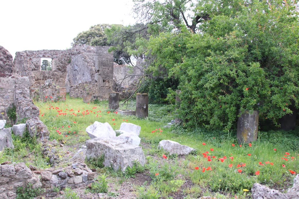 VIII.3.31 Pompeii. May 2024. 
Looking south-east across the north portico of the peristyle, taken across the wall of VIII.3.29. Photo courtesy of Klaus Heese.