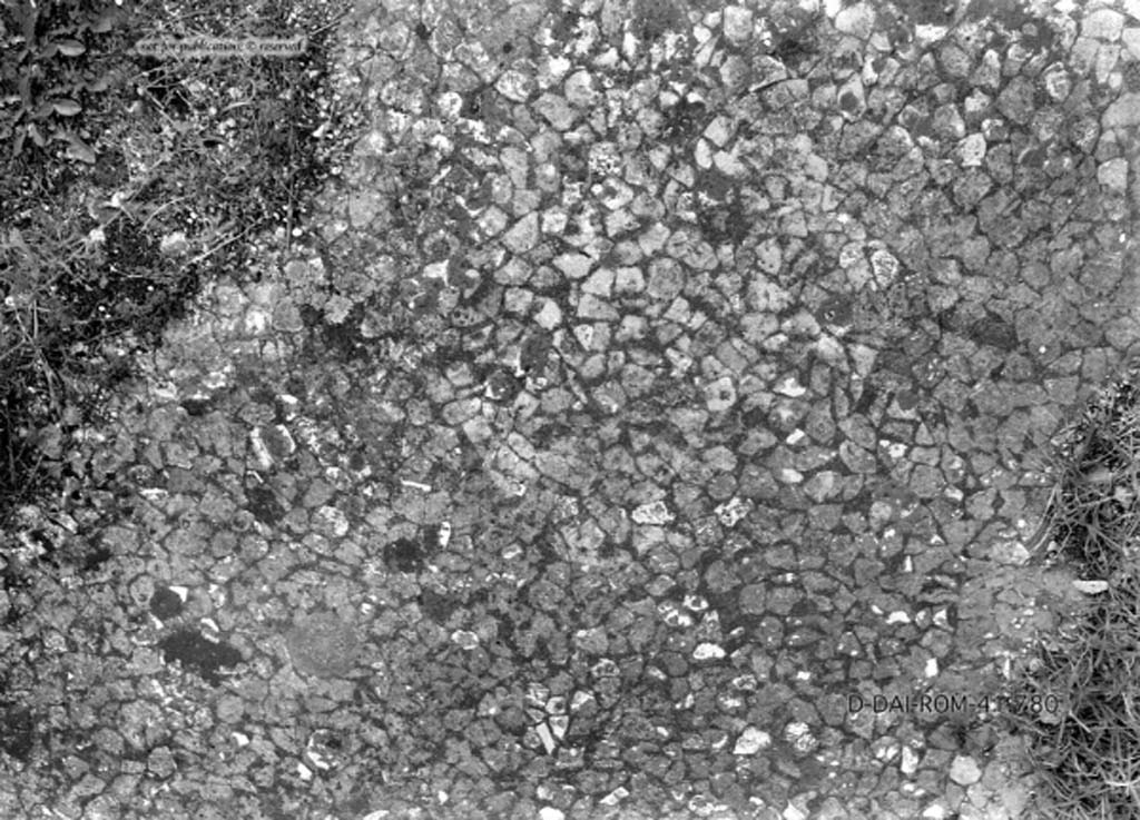 VIII.3.31 Pompeii. c.1930. Flooring in tablinum comprising of beaten flakes of white limestone.
DAIR 41.780. Photo © Deutsches Archäologisches Institut, Abteilung Rom, Arkiv.
See Pernice, E.  1938. Pavimente und Figürliche Mosaiken: Die Hellenistische Kunst in Pompeji, Band VI. Berlin: de Gruyter, (tav. 50.3, above.)