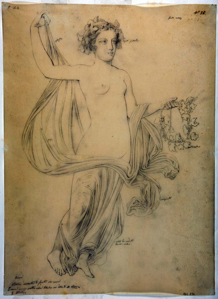 VIII.4.4 Pompeii. Entrance corridor or fauces. Pre-1849 drawing by G. Abbate of floating figure carrying a wreath of ivy. 
Now in Naples Archaeological Museum. Inventory number ADS836.
According to the ICCD scheda, "Il disegno raffigura la vignetta che decorava una parete del vestibolo 1 della Casa di Holconius Rufus a Pompei (VIII 4, 4), staccata e conservata al Museo Archeologico Nazionale di Napoli (inv. 9149)".
Photo © ICCD. http://www.catalogo.beniculturali.it
Utilizzabili alle condizioni della licenza Attribuzione - Non commerciale - Condividi allo stesso modo 2.5 Italia (CC BY-NC-SA 2.5 IT)