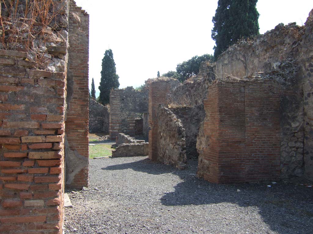 VIII.4.12 Pompeii. September 2005. Looking south through tablinum, towards peristyle area.