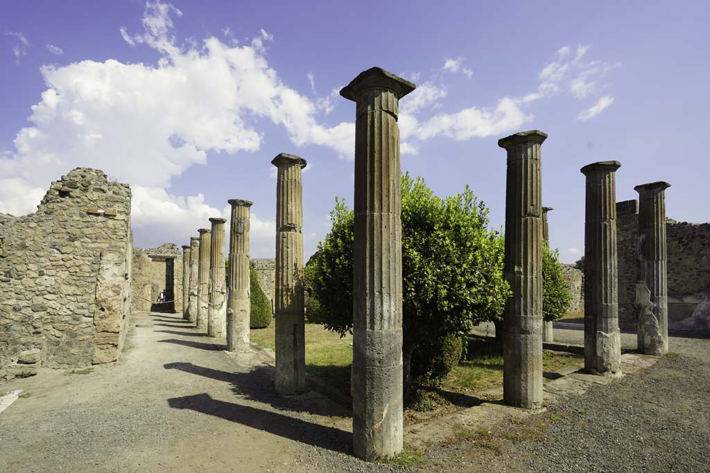 VIII.4.15 Pompeii. August 2021. 
Looking north along west portico, and north-east across peristyle garden. Photo courtesy of Robert Hanson.
