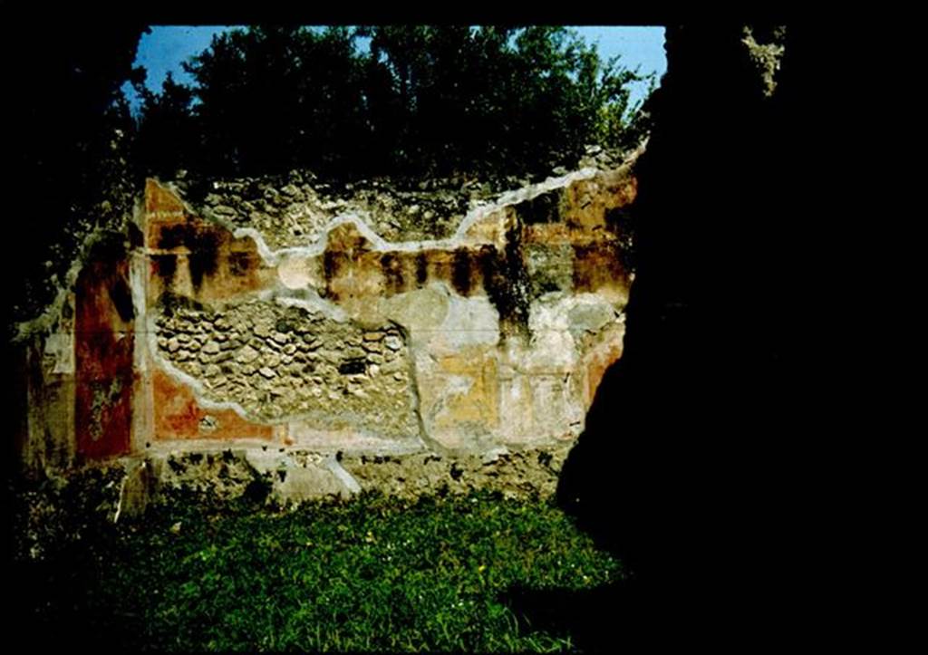 VIII.4.34 Pompeii.   Rear wall of Tablinum.  Photographed 1970-79 by Günther Einhorn, picture courtesy of his son Ralf Einhorn.