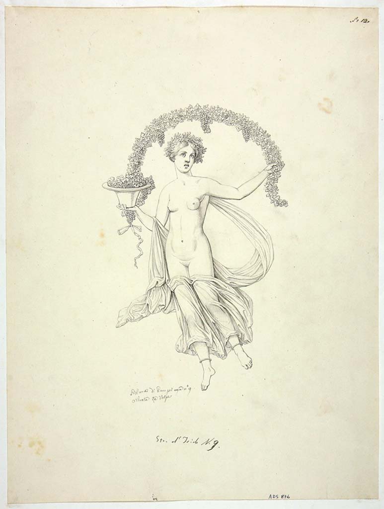 VIII.4.34 Pompeii. Drawing by Nicola La Volpe, of painting of Autumn, from red panel at west end of north wall of tablinum. 
She wore a yellow and sky-blue mantle and held a kalathos (vase) full of grapes and a long branch of grapes that stretched over her head.
See Helbig, W., 1868. Wandgemälde der vom Vesuv verschütteten Städte Campaniens. Leipzig: Breitkopf und Härtel, n. 988.
Now in Naples Archaeological Museum. Inventory number ADS 876.
Photo © ICCD. http://www.catalogo.beniculturali.it
Utilizzabili alle condizioni della licenza Attribuzione - Non commerciale - Condividi allo stesso modo 2.5 Italia (CC BY-NC-SA 2.5 IT)