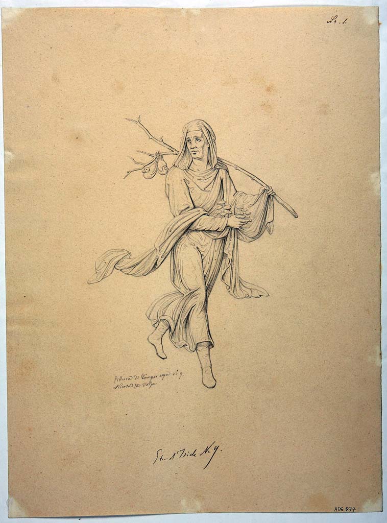 VIII.4.34 Pompeii. Drawing by Nicola La Volpe, of painting of Winter from a side panel, of a tablinum wall not known. 
Inverno (Winter) was heavily cloaked and carried a branch on the left shoulder from which two ducks were suspended.
In the right hand were mushrooms.
Now in Naples Archaeological Museum. Inventory number ADS 877.
Photo © ICCD. http://www.catalogo.beniculturali.it
Utilizzabili alle condizioni della licenza Attribuzione - Non commerciale - Condividi allo stesso modo 2.5 Italia (CC BY-NC-SA 2.5 IT)
