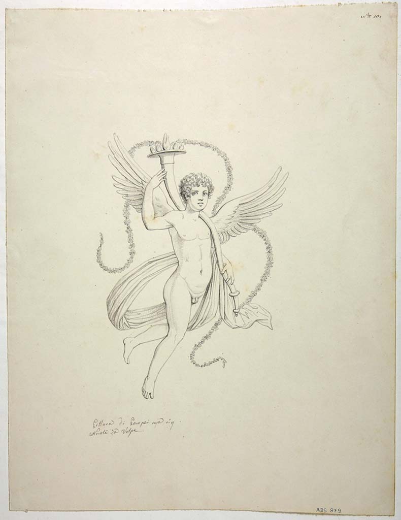 VIII.4.34 Pompeii. Drawing by Nicola La Volpe, of painting of Cupid in flight with a cornucopia and a long garland.
This was seen on an unknown wall in the tablinum. 
See Carratelli, G. P., 1990-2003. Pompei: Pitture e Mosaici: Vol. VIII. Roma: Istituto della enciclopedia italiana, p. 541.
Now in Naples Archaeological Museum. Inventory number ADS 879.
Photo © ICCD. http://www.catalogo.beniculturali.it
Utilizzabili alle condizioni della licenza Attribuzione - Non commerciale - Condividi allo stesso modo 2.5 Italia (CC BY-NC-SA 2.5 IT)