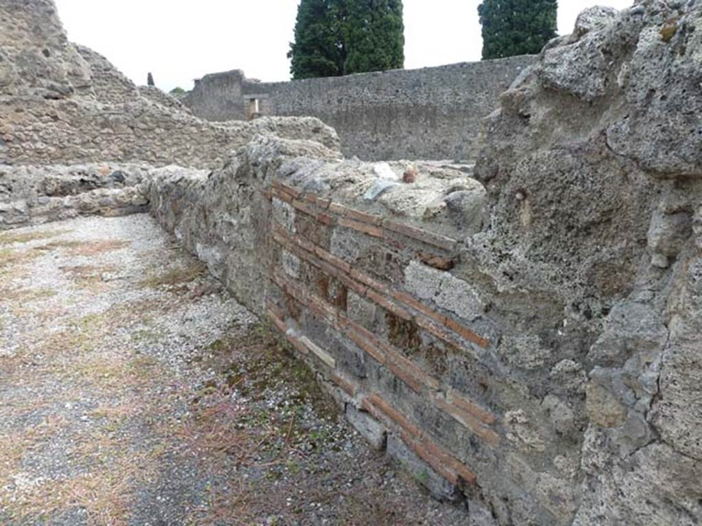 VIII.4.41 Pompeii. September 2015. Looking east along the south wall.