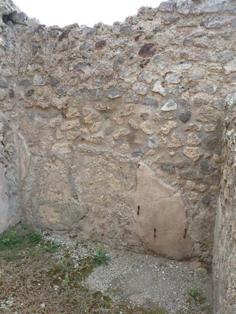 VIII.4.46 Pompeii. September 2015. South wall of rear room.