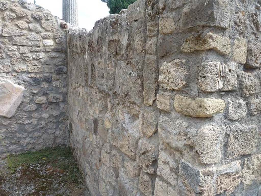 VIII.4.48 Pompeii. September 2015. South wall of rear room.