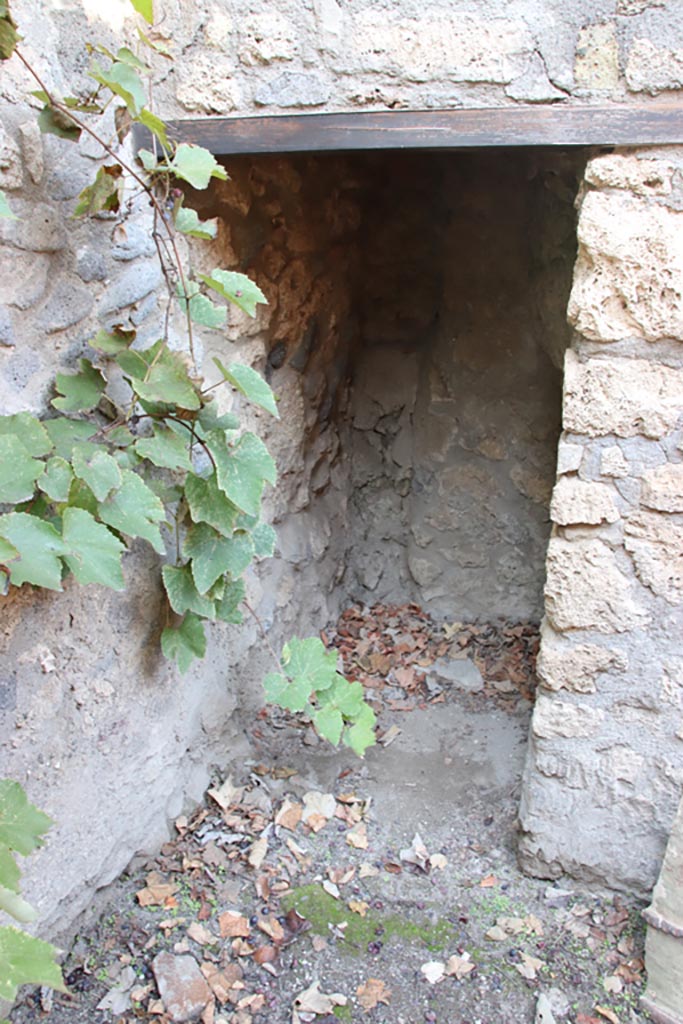 VIII.5.15 Pompeii. October 2022. 
Room 1, looking north into small room under stairs, latrine?  Photo courtesy of Klaus Heese.
