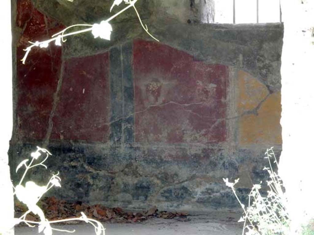 VIII.5.15 Pompeii. May 2017. 
Room 9, remains of painted decoration on north wall of cubiculum, under a modern window. Photo courtesy of Buzz Ferebee.