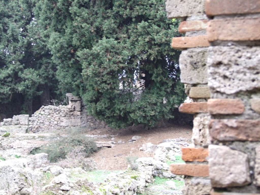 VIII.5.36 Pompeii.  December 2006.  Looking north west from entrance.