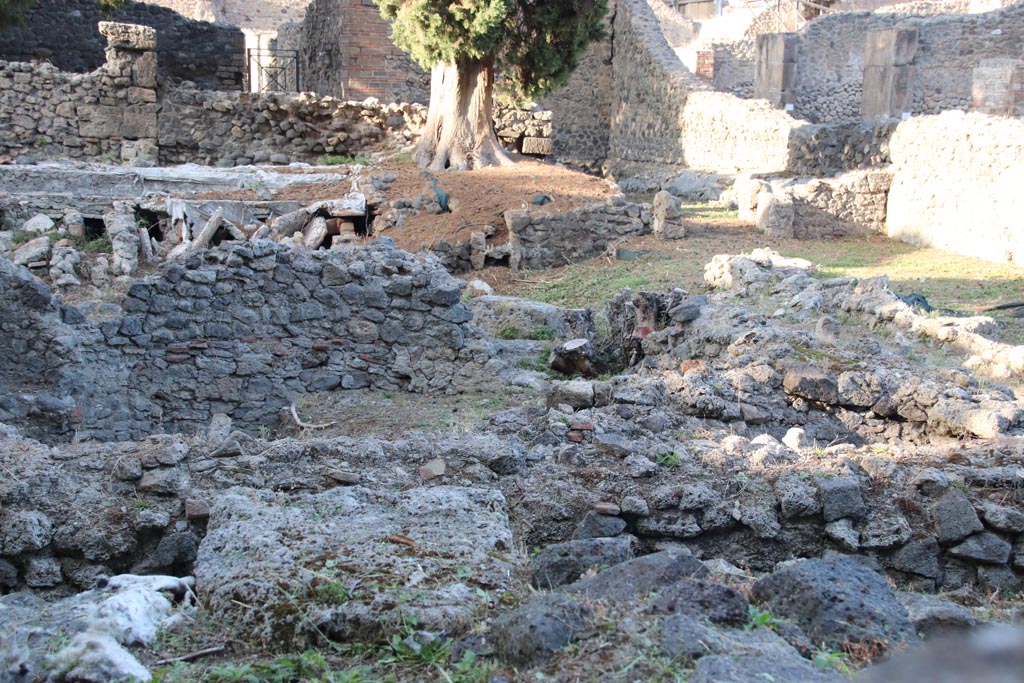 VIII.5.36 Pompeii. October 2023. Looking north from Vicolo delle Pareti Rosse. 
The doorway into Room II from the vestibule, can be seen on the upper right side. Photo courtesy of Klaus Heese.