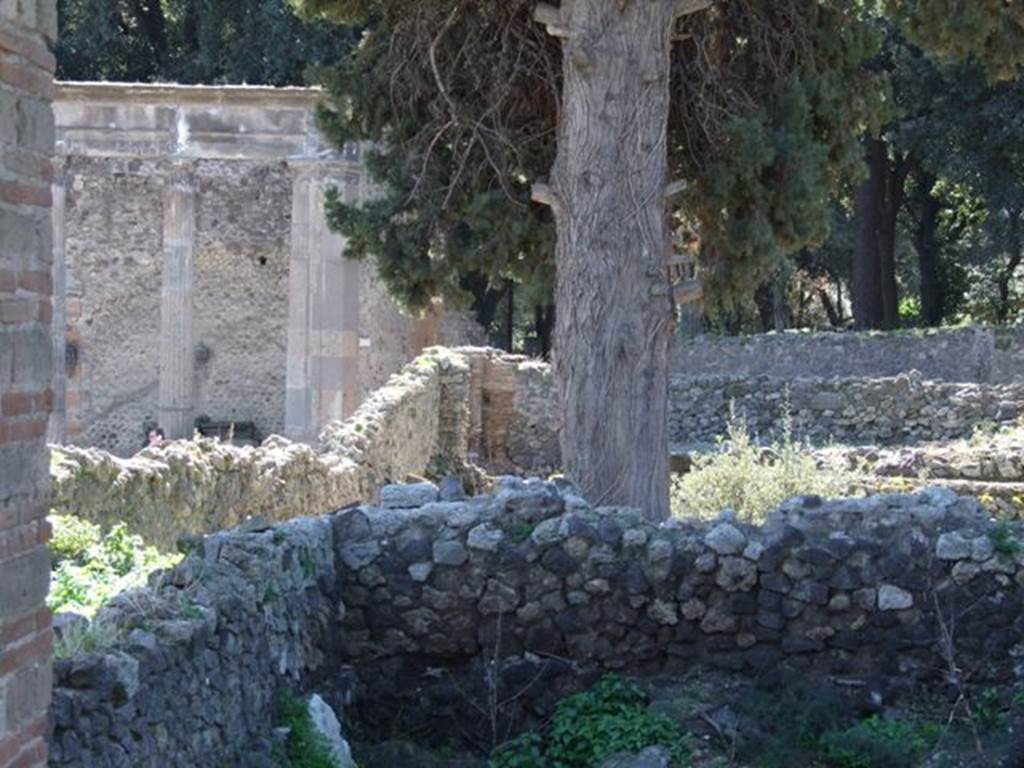 VIII.5.36 Pompeii. March 2009. Taken from VIII.5.28. Looking south towards (present-day) entrance in corner, centre left.