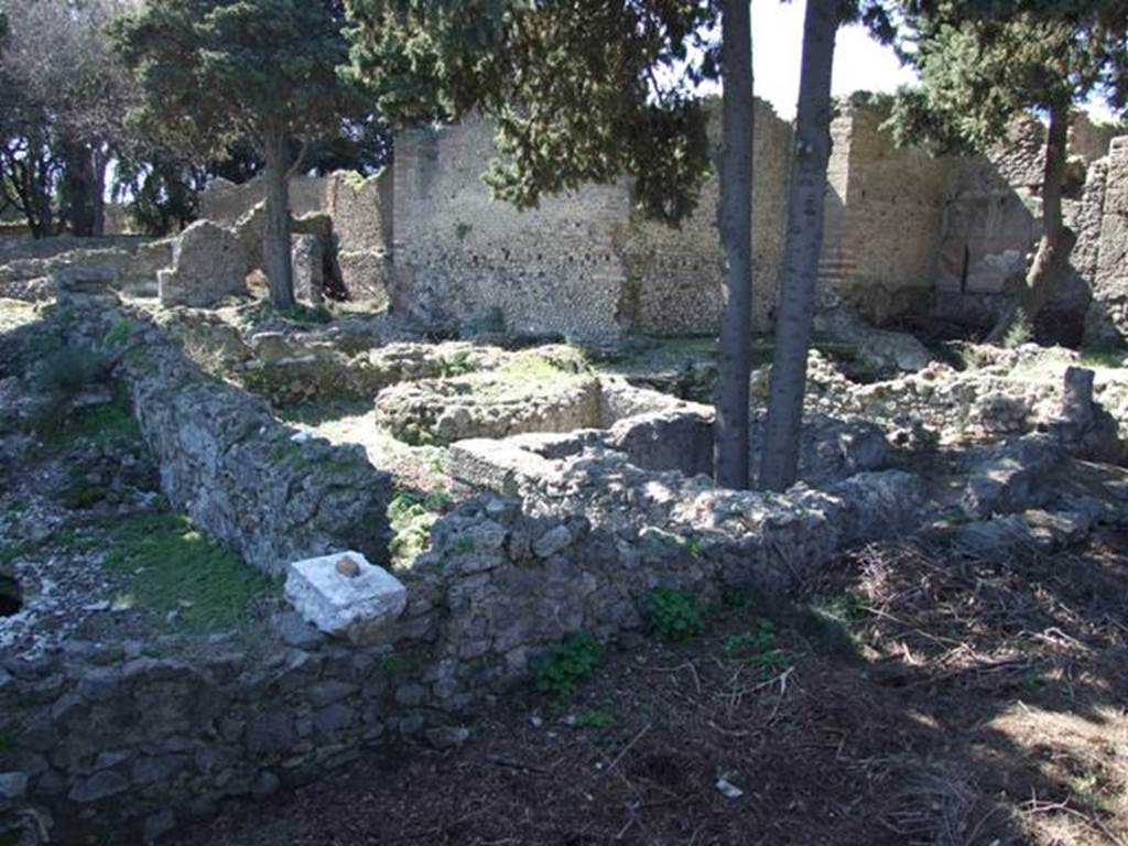 VIII.5.36 Pompeii. March 2009. Taken from VIII.5.28. 
Looking south-west across angiportus towards room IV, in centre with tree stems. 
A doorway from the angiportus would have led through room IV into the women’s section of the baths, on right.