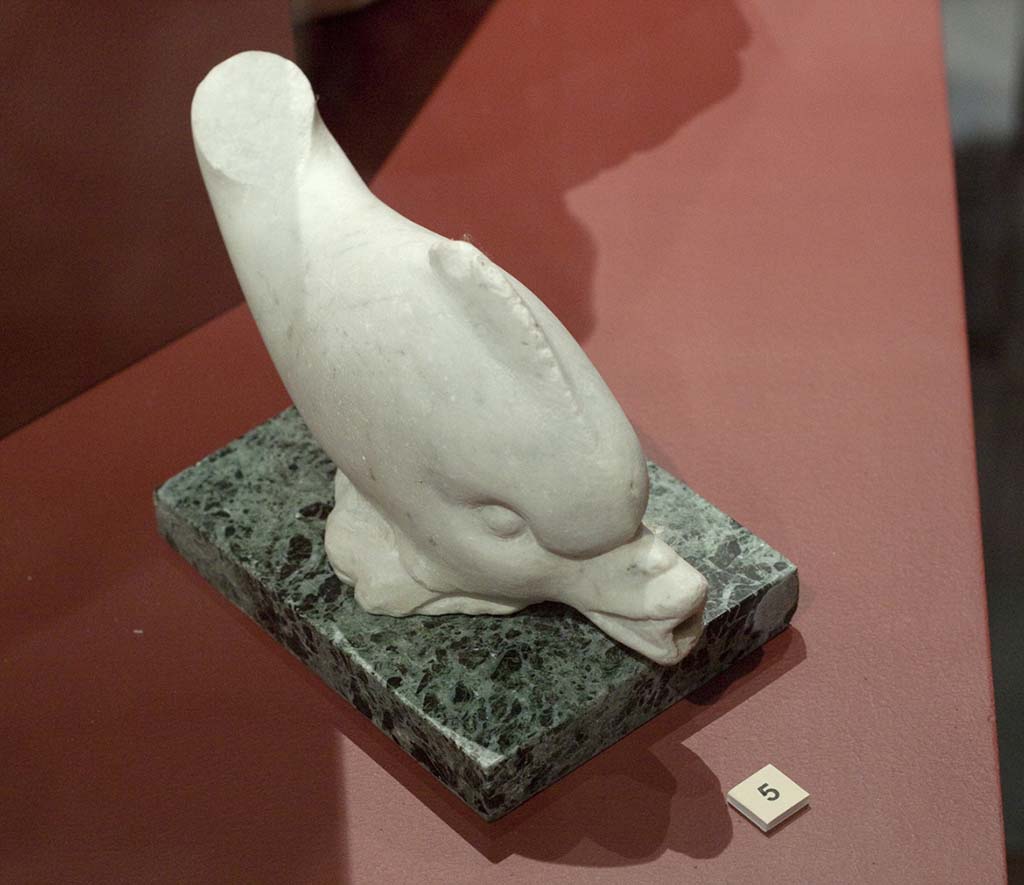 VIII.5.37 or VIII.6.6 Pompeii. Found 16th October 1882. Sculpture of a dolphin used as a fountain to squirt water, missing its tail.
The base is modern. (This has also been put into VIII.6.6.).
Now in Naples Archaeological Museum. Inventory number 120051.
According to the book below, this was found 16th October 1882 in a small channel/ditch of VIII.6.6.
See Marmora Pompeiana nel Museo Archeologico Nazionale di Napoli: Studi della SAP 26, 2008, p. 152, C49.
According to Jashemski, and the description in Notizie degli Scavi, this would seem to have been found in the atrium of the house now known as Casa delle Pareti Rosse, which is now given the number of VIII.5.37. 
However, in NdS, the house where this was found was given the number of VIII.6.6, but the description of the lararium with the bronze statuettes (and a “small” garden), would definitely seem to fit VIII.5.37, rather than VIII.6.6.
See Jashemski, W. F., 1993. The Gardens of Pompeii, Volume II: Appendices. New York: Caratzas. (p.218).