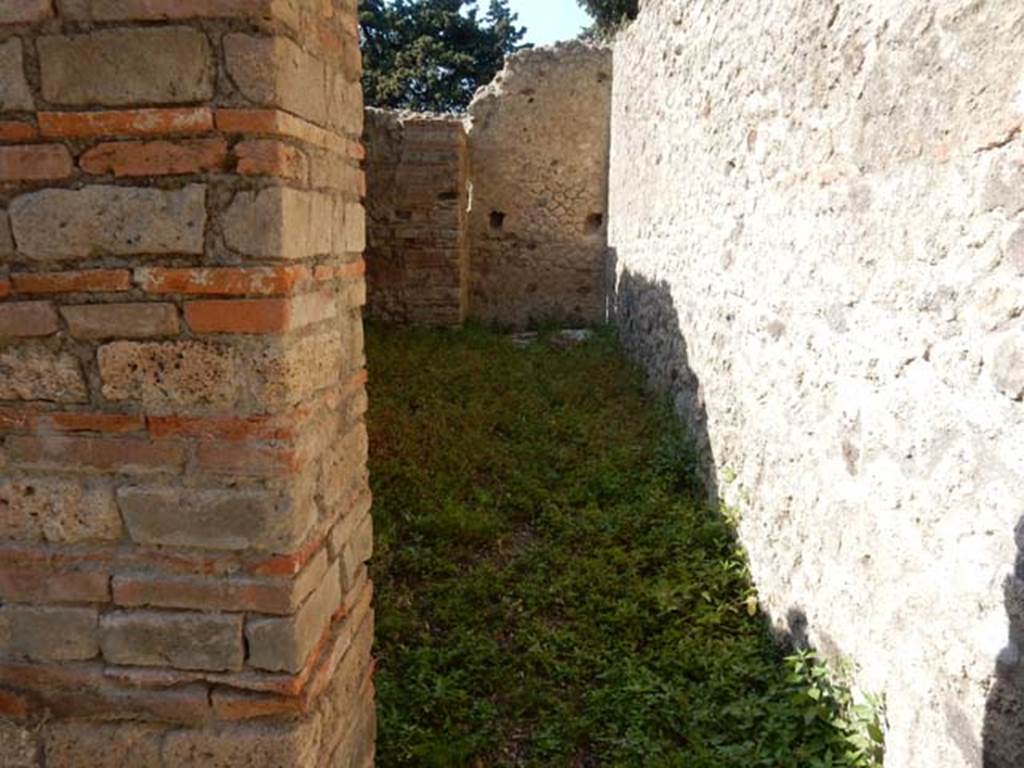 VIII.5.37 Pompeii. May 2017. Room 3, looking north through doorway from room 2. 
Photo courtesy of Buzz Ferebee.