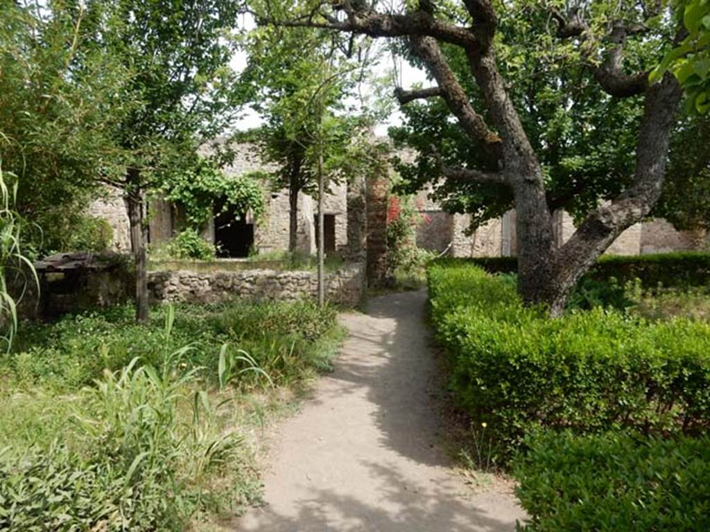 VIII.5.15/16/38 Pompeii. May 2017. Looking north along west side of garden area from south side. Photo courtesy of Buzz Ferebee.
