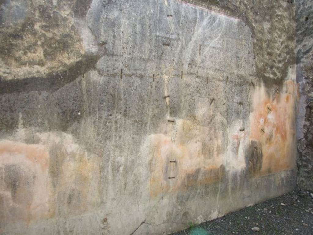VIII.5.39 Pompeii. March 2009. Room 5, south wall of triclinium.
According to PPM –
The most important painted element was to be the medallions with female portraits seen in the triclinium.
On the south wall, the decoration would have been IV Style, today completely faded.
The plinth and zoccolo were painted black, the middle zone was painted yellow, with the upper portion white.  
The cornice was polychrome stucco.
The zoccolo still has traces of plants (and birds), and a medallion at the centre of the panel on the right (west end)
See Carratelli, G. P., 1990-2003. Pompei: Pitture e Mosaici: Vol. VIII. Roma: Istituto della enciclopedia italiana, p. 656-9.