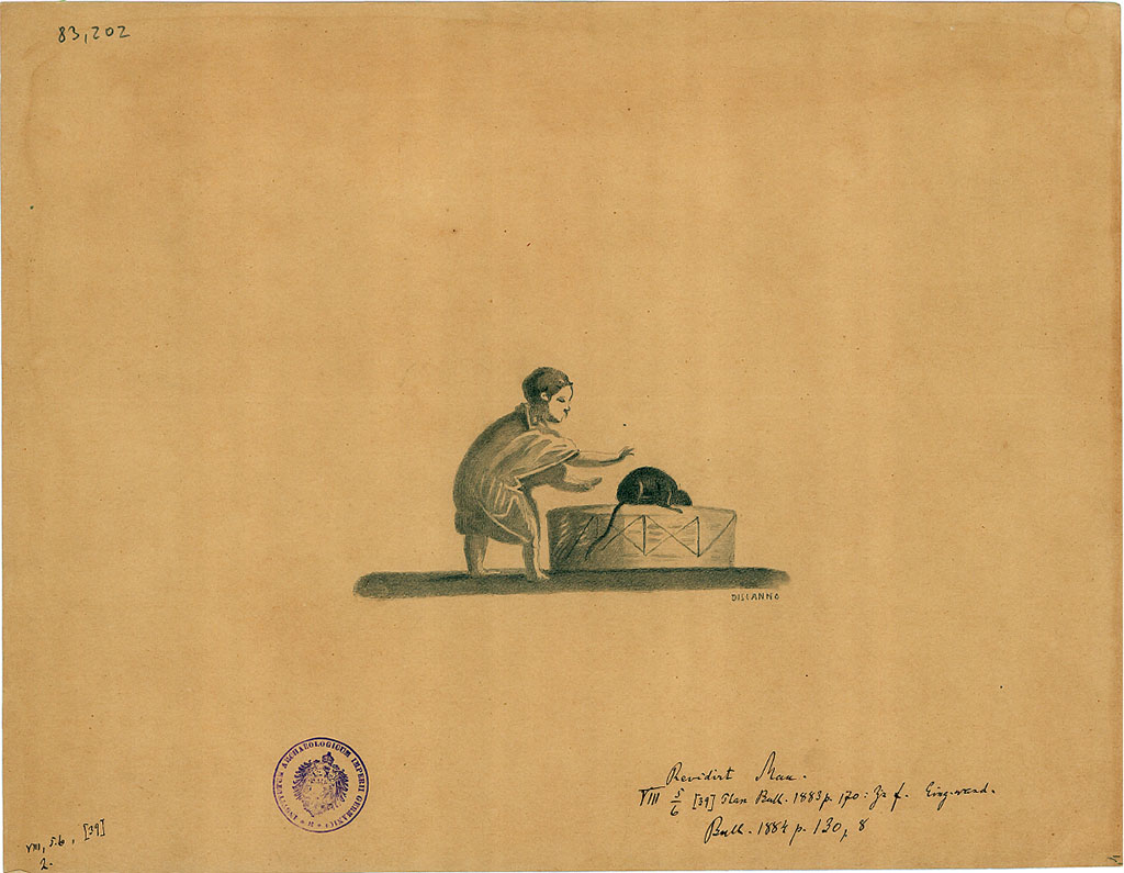 VIII.5.39 Pompeii. Room 5, east wall, right of entrance, of triclinium. Drawing by G. Discanno of boy and mouse or rat that is trying to get into the basket.
DAIR 83.202. Photo © Deutsches Archäologisches Institut, Abteilung Rom, Arkiv. 
See Schefold, K., 1957. Die Wände Pompejis. Berlin: De Gruyter, p. 229, room f.