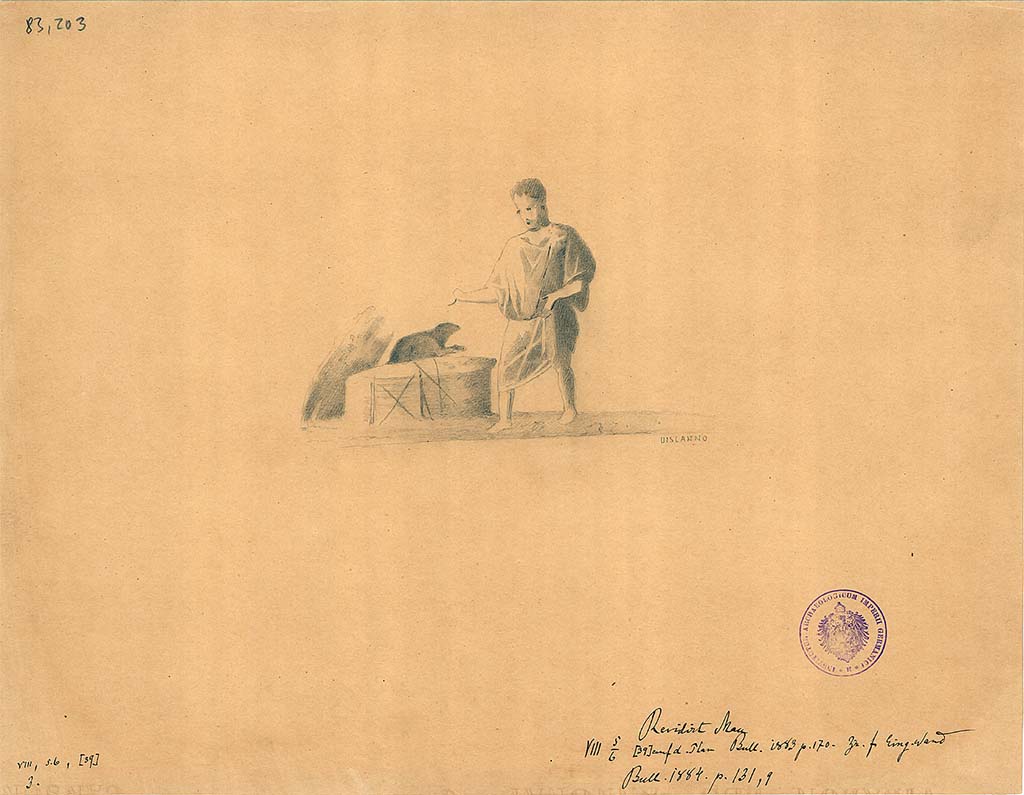 VIII.5.39 Pompeii. Room 5, east wall, left of entrance, of triclinium. Drawing by G. Discanno of boy surprised by the mouse or rat coming out of the basket.
DAIR 83.203. Photo © Deutsches Archäologisches Institut, Abteilung Rom, Arkiv. 
See Schefold, K., 1957. Die Wände Pompejis. Berlin: De Gruyter, p. 229, room f.