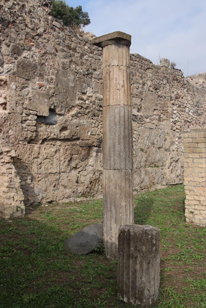 VIII.6.2 Pompeii. October 2023. 
Detail of column in south-west corner of portico. Photo courtesy of Klaus Heese.