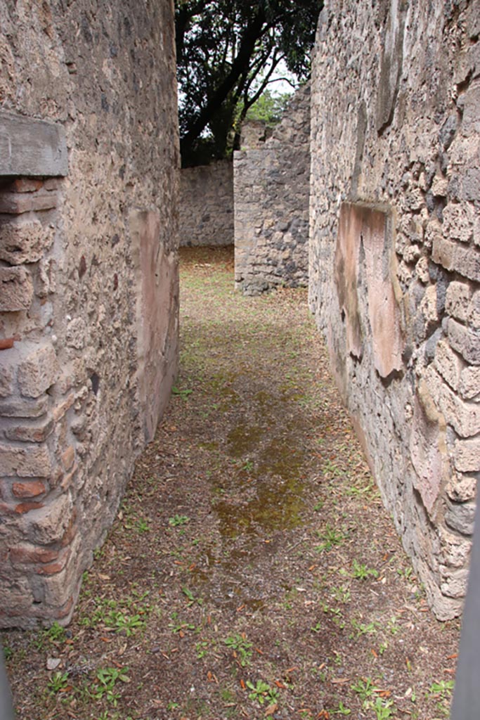 VIII.6.5 Pompeii. May 2024.  
Looking north along entrance corridor from doorway. Photo courtesy of Klaus Heese.