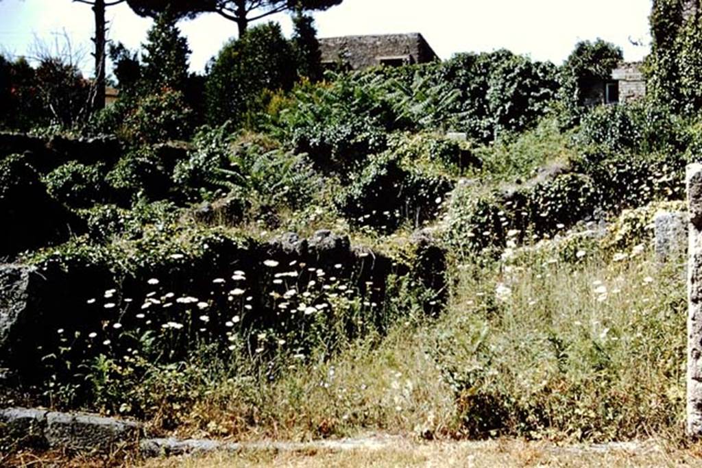 VIII.7.5 Pompeii. 1959. Looking west from Via Stabiana towards entrance doorway. Photo by Stanley A. Jashemski.
Source: The Wilhelmina and Stanley A. Jashemski archive in the University of Maryland Library, Special Collections (See collection page) and made available under the Creative Commons Attribution-Non Commercial License v.4. See Licence and use details.
J59f0253