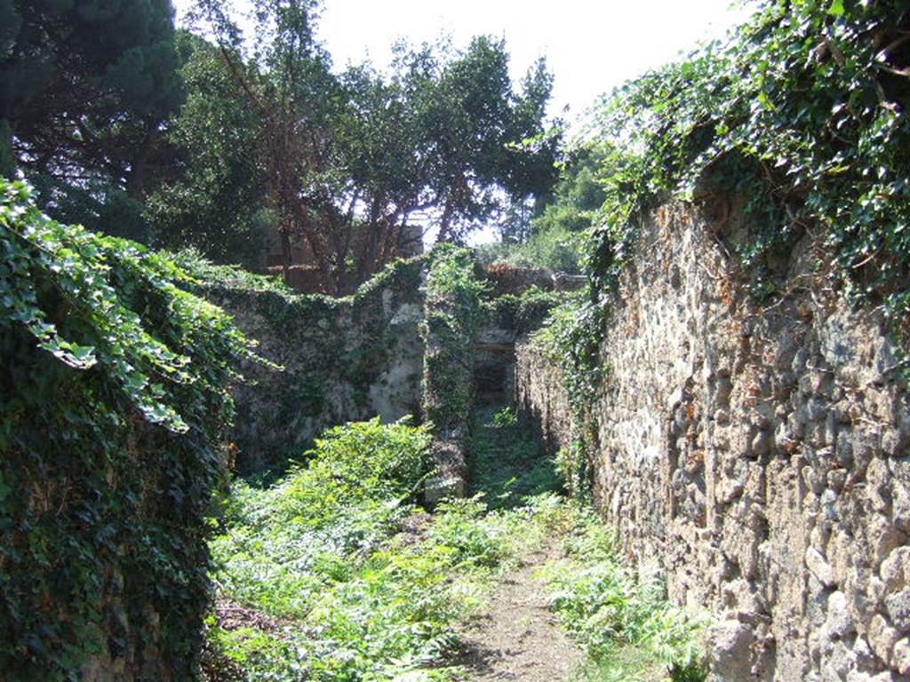 VIII.7.6 Pompeii. September 2005. Looking west from entrance across atrium towards tablinum and corridor to garden at rear.