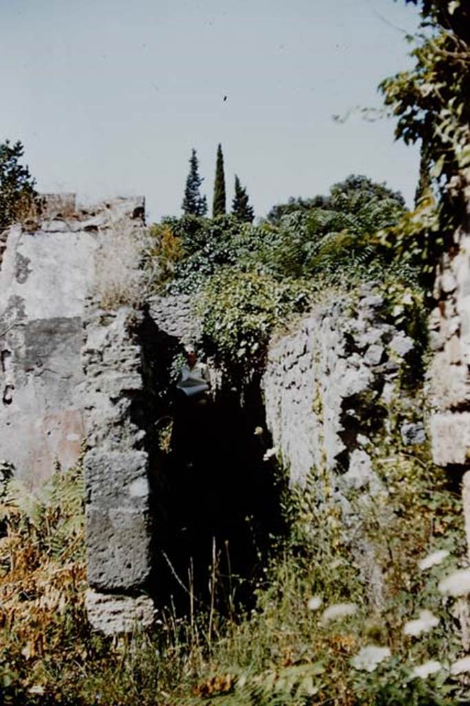 VIII.7.6 Pompeii. 1959.  Corridor on north side from tablinum, looking west towards rear.
Photo by Stanley A. Jashemski.
Source: The Wilhelmina and Stanley A. Jashemski archive in the University of Maryland Library, Special Collections (See collection page) and made available under the Creative Commons Attribution-Non Commercial License v.4. See Licence and use details.
J59f0250