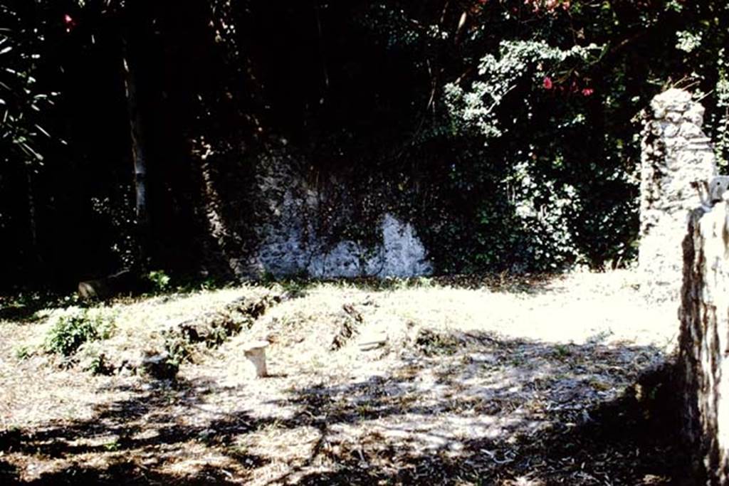 VIII.7.6 Pompeii. 1966.  Looking west towards triclinium in garden area, with north wall on the right. Photo by Stanley A. Jashemski.
Source: The Wilhelmina and Stanley A. Jashemski archive in the University of Maryland Library, Special Collections (See collection page) and made available under the Creative Commons Attribution-Non Commercial License v.4. See Licence and use details.
J66f0186
According to Jashemski, the masonry triclinium and rectangular table had a receding semicircle cut into its east end.
Originally the couches were faced with opus signinum and showed remains of having been painted red.
Near the triclinium, attached to the north wall, was a small table with an arched niche below; the bottom was painted red with traces of painted garden plants.
To see the triclinium in its former glory and its complete surroundings, see Jashemski, Fig 254 on p.221.
See Jashemski, W. F., 1993. The Gardens of Pompeii, Volume II: Appendices. New York: Caratzas. (p.220-1).