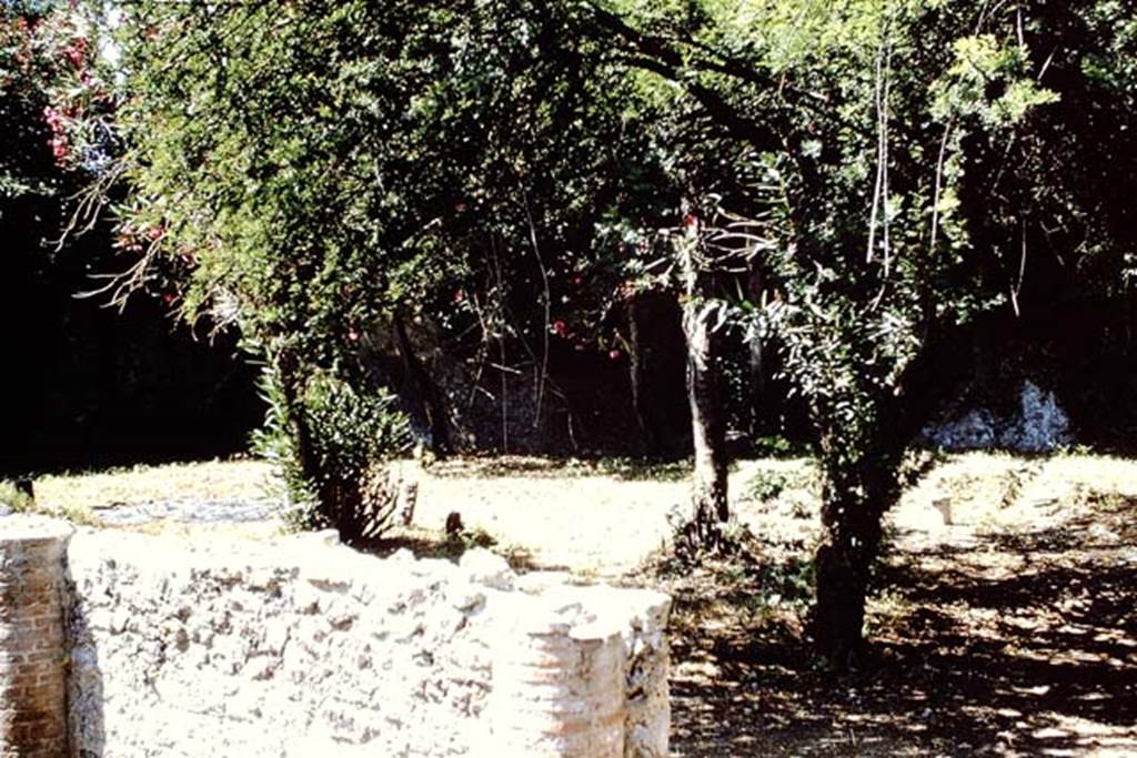 VIII.7.6 Pompeii. 1966.  Looking west from portico towards triclinium in garden. Photo by Stanley A. Jashemski.
Source: The Wilhelmina and Stanley A. Jashemski archive in the University of Maryland Library, Special Collections (See collection page) and made available under the Creative Commons Attribution-Non Commercial License v.4. See Licence and use details.
J66f0188